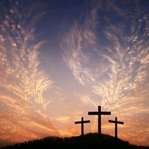 Meet your Posher, Payge